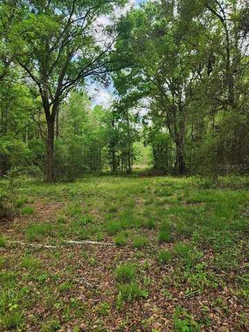4611 NW 244TH AVENUE, ALACHUA, FL 32615