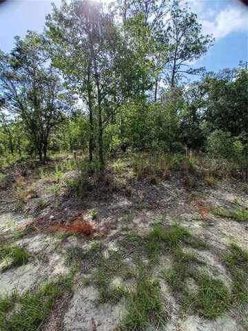 SW TAMIAMI PLACE, DUNNELLON, FL 34431