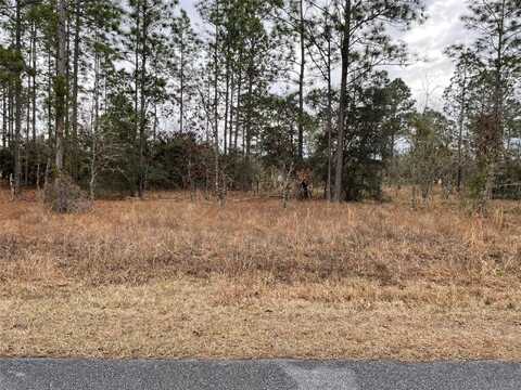 Lot 14 SE 136 TERRACE, DUNNELLON, FL 34431