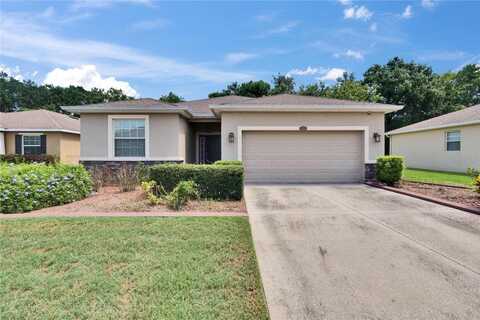 2823 HOLLY BLUFF COURT, PLANT CITY, FL 33566