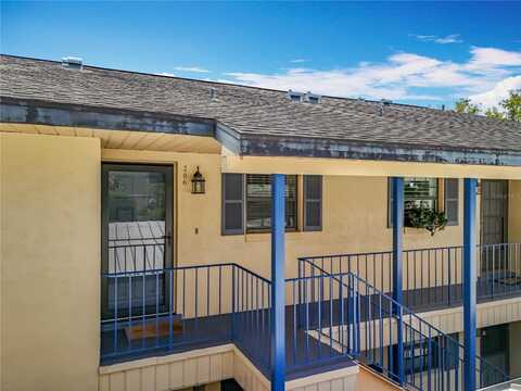 110 N TREMAIN STREET, MOUNT DORA, FL 32757