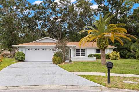 2956 SUTHERLAND COURT, PALM HARBOR, FL 34684