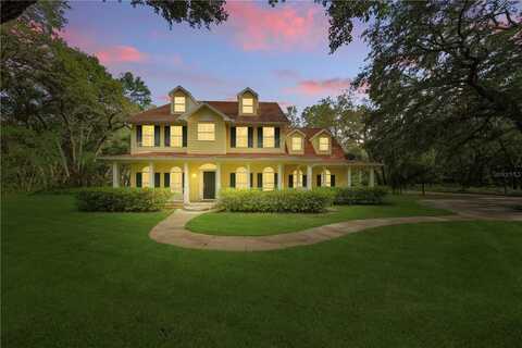 4200 JOSLYN LANE, LADY LAKE, FL 32159