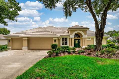 9116 WOODRIDGE RUN DRIVE, TAMPA, FL 33647