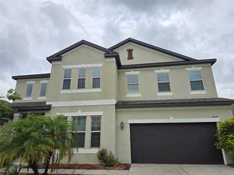 11839 CROSS VINE DRIVE, RIVERVIEW, FL 33579