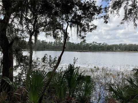 Tbd Lot 51 MALAUKA RADIAL, OCKLAWAHA, FL 32179