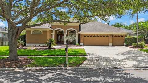 5519 REFLECTIONS BOULEVARD, LUTZ, FL 33558
