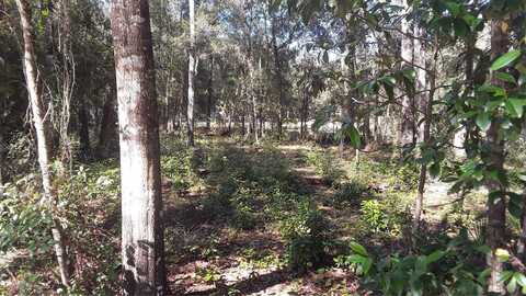 1408 SCRUB JAY STREET, LAKE PLACID, FL 33852