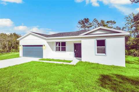 139 MALAUKA PASS, OCKLAWAHA, FL 32179