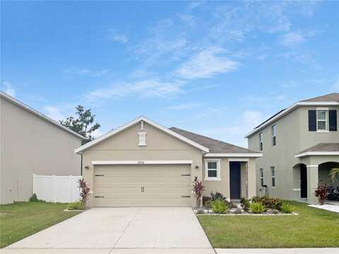 10956 CARLTON FIELDS DRIVE, RIVERVIEW, FL 33579