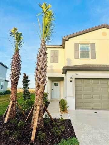 32111 POWDERPUFF MIMOSA DRIVE, SAN ANTONIO, FL 33576