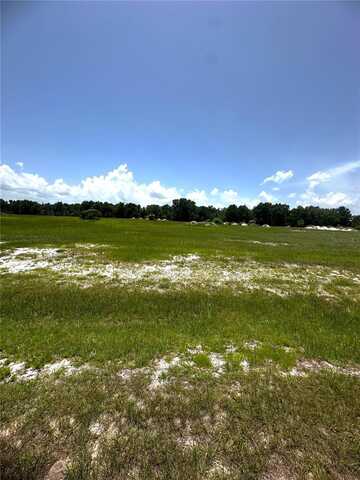 38793 RANCH GATE BOULEVARD, UMATILLA, FL 32784
