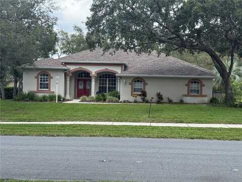 13133 ROSEANNA DRIVE, SPRING HILL, FL 34609