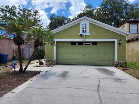 8313 ARABIAN DUNES PLACE, RIVERVIEW, FL 33578