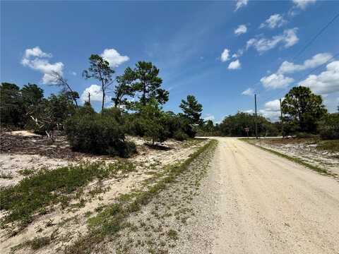 454 APPLE BLOSSOM COURT, LAKE PLACID, FL 33852