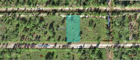 706 TROPICANA DRIVE, INDIAN LAKE ESTATES, FL 33855