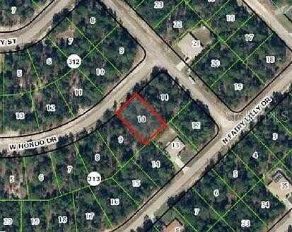3822 W HONDO DRIVE, CITRUS SPRINGS, FL 34433