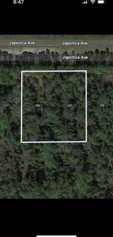 109 JAPONICA AVENUE, INDIAN LAKE ESTATES, FL 33855
