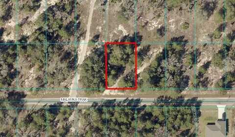 Tbd Lot 12 MALAUKA TRACK, OCKLAWAHA, FL 32179