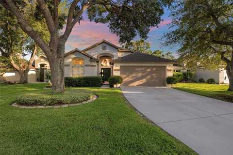 2043 WRANGLER DRIVE, BRANDON, FL 33511