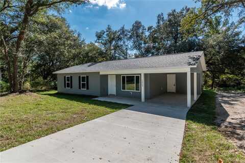 17009 SE 60TH STREET, OCKLAWAHA, FL 32179