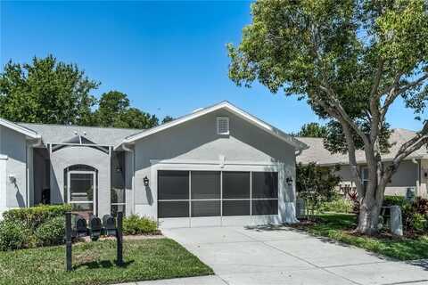 7253 CLEOPATRA DRIVE, LAND O LAKES, FL 34637