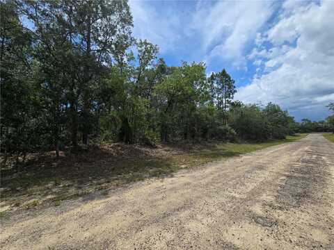 6468 N BAYLOR TERRACE, DUNNELLON, FL 34433