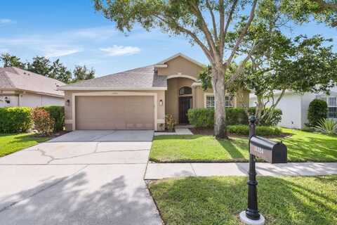 11324 CYPRESS RESERVE DRIVE, TAMPA, FL 33626