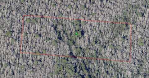 NO STREET, DE LEON SPRINGS, FL 32130