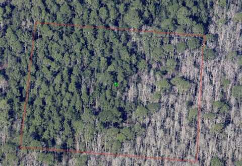 NORTH STREET, DE LEON SPRINGS, FL 32130
