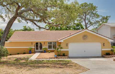 315 RIDGE ROAD, PALM HARBOR, FL 34683