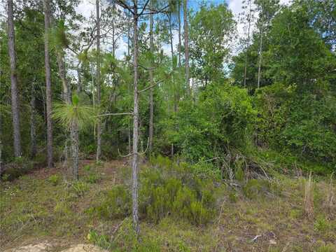 Tbd NE 131ST COURT, WILLISTON, FL 32696