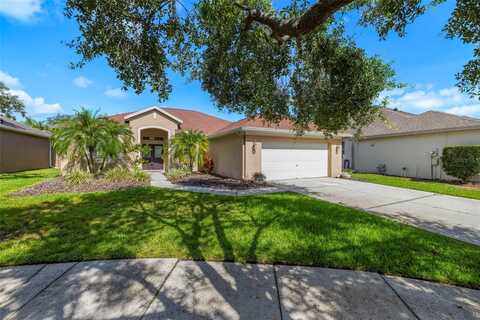 19104 CELLINI PLACE, LUTZ, FL 33558