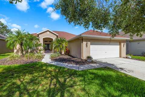 19104 CELLINI PLACE, LUTZ, FL 33558
