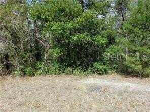 16254 GUPTON STREET, BROOKSVILLE, FL 34613