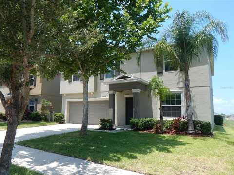 10259 STRAWBERRY TETRA DRIVE, RIVERVIEW, FL 33578