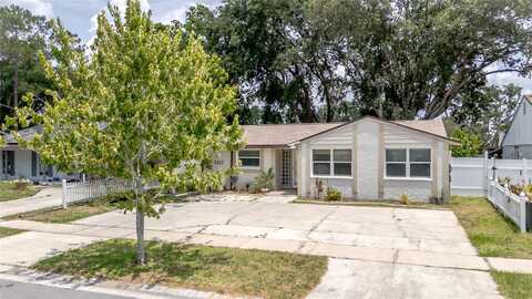 3217 SADDLEBROOK AVENUE, TAMPA, FL 33618