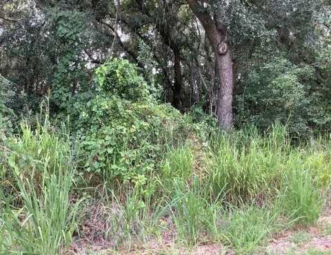 MOORE STREET, JACKSONVILLE, FL 32234