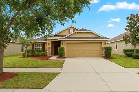 14224 EDINBURGH MOOR DRIVE, WIMAUMA, FL 33598