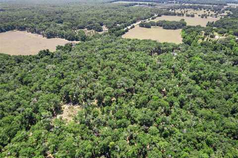 11440 S PLEASANT GROVE ROAD, FLORAL CITY, FL 34436