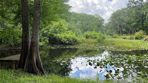 7234 CR 651W, BUSHNELL, FL 33513