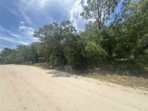 0000 SW 16TH PLACE, OCALA, FL 34481