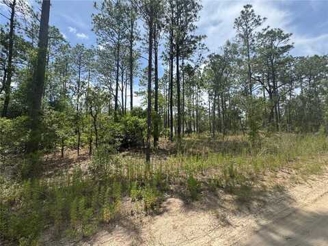 0000 SW 157TH AVENUE, OCALA, FL 34481