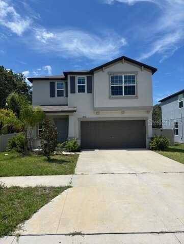 18010 BLISSFUL STARS DRIVE, LUTZ, FL 33558