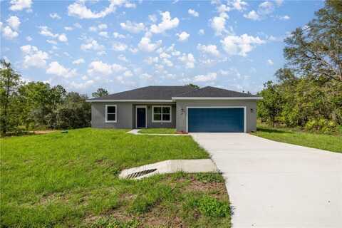 142 GUAVA PASS, OCKLAWAHA, FL 32179