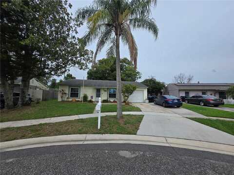 4123 GANDER AVENUE, ORLANDO, FL 32822