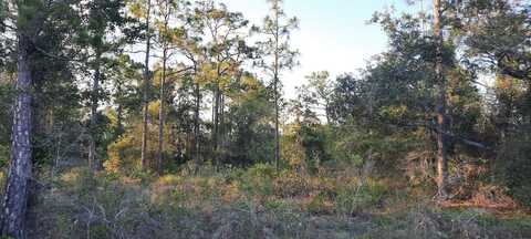 704 PLUMOSA DRIVE, INDIAN LAKE ESTATES, FL 33855
