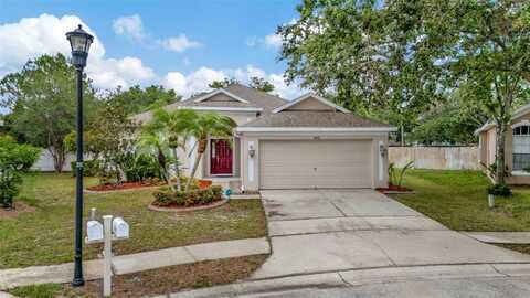 11123 SILVER DANCER DRIVE, RIVERVIEW, FL 33579