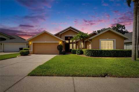 5303 COTTONWOOD TREE CIRCLE, VALRICO, FL 33596