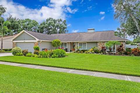 13810 LAKE VILLAGE PLACE, TAMPA, FL 33618